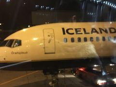 一人でコペンハーゲン中央駅までプラプラしてた息子とゲートでおち合い
アイスランド航空でアイスランドにつきました

