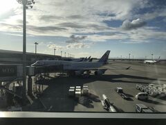 あわただしく帰台。帰りはいつものA330でなくB747でした。