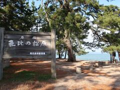 公園内、３分の１くらいでしょうか
歩いてみました。。