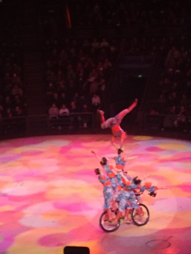 雑技団、すごかったーーー！･:*+.\(( °ω° ))/.:+<br />めっちゃ面白い！<br />暗いし夜だし絶対眠い息子も、あまりにすごくて眠れず（笑）<br /><br />雑技団後は出口で日本でもうってる狼の帽子買わされ帰ってきましたー<br />あー、充実の一日、おやすみなさーい☆<br /><br /><br />上海５日目。<br />またまた、朝ブッフェとんでもない量食べて無事帰ってきましたー♫<br /><br />上海、かなーーり満喫しました♡<br /><br />ディズニーは何もかも東京より進んでて、どのアトラクションも感動でした！<br />東京より全然空いてるし、キャラグリも気軽にできるし、これからディズニー行きたくなったら上海にする！<br />東京でディズニーホテル泊まること考えたら、総額も上海のが安い！<br /><br />上海市内も子連れでも十分楽しめたし、小籠包があれば食べ物もダイジョーブ！<br />マクドもそこら中にあるし（笑）<br /><br />中国のマナー問題は私的には全然余裕でしたー！<br />むしろ人間らしくて好感もてたわ（笑）<br />こちらも騒がしい子連れだし、中国や韓国の緩さは助かります♡大好き♡<br />列もみんなだいたいちゃんと並んでました。<br />ただ列並ぶ時の距離ちかっ！<br />すきあらば小さい隙間に入ってくるかんじ。<br />お国柄ね。<br /><br />そして、spgカードの素晴らしさを知った旅行となりましたー！<br />最高の扱いしてもらって、ラウンジの住人となり（笑）めっちゃ満喫したー！<br /><br />今年も頑張って働いて、またラウンジいくぞー！<br />旅行というより、ラウンジ（笑）