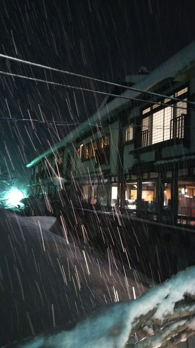 雪が降ってます。