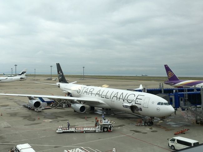 特典航空券にて、お世話になります！<br />って、ここ数年、特典航空券での夏の旅行が定番。これからも、がんばってマイルを貯めねば!!!<br /><br />夫は事前にならないと、旅立てるかどうか分からないため、別途航空券を購入しなければなりませんでした。