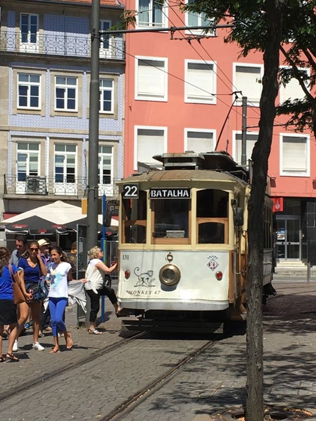 トラムはっけーーーん。