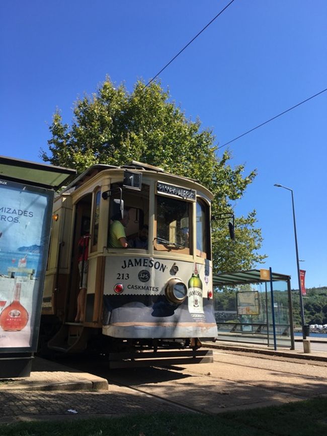 青空に、トラム。芝生に座って、読書タイム。サマーバケーション!!!
