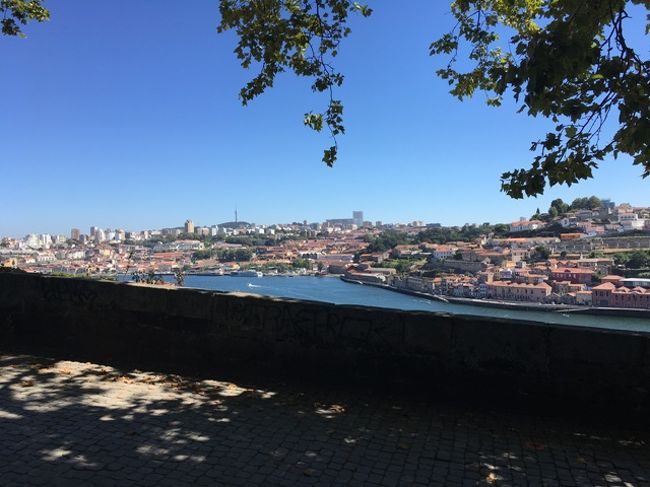 市電に乗りながら、撮影。