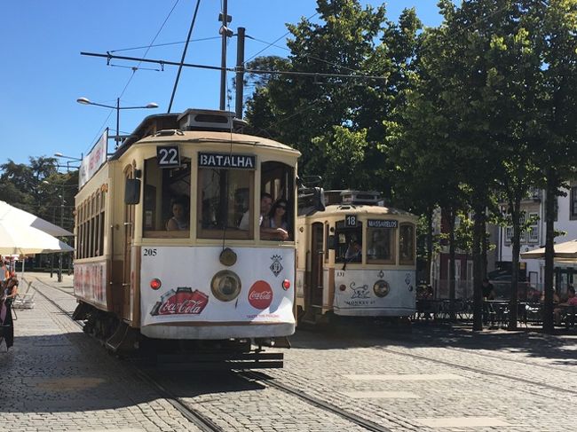 トラムはやっぱり撮ってしまう。