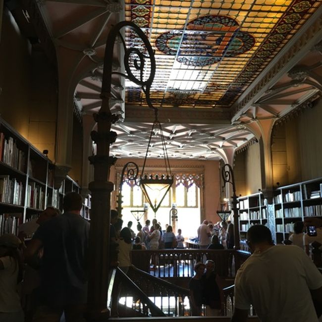 ここで、コーヒーでも飲みながら、ゆったりと読書を楽しむことができたら、きっと人生においても特別な時間になりそう。