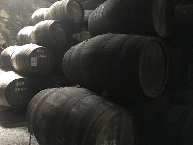 １時間待って14：00ツアースタート。カビのにおいがする場所に、樽がいっぱい。歴史を感じる建物内。Taylar'sとかとは系列は一緒。でも規模が違うとのこと。CROFTは家族経営で、20種類以上の品種のぶどうからワインを作っている。寒暖差を利用して、おいしいワインを作っているという説明でした。