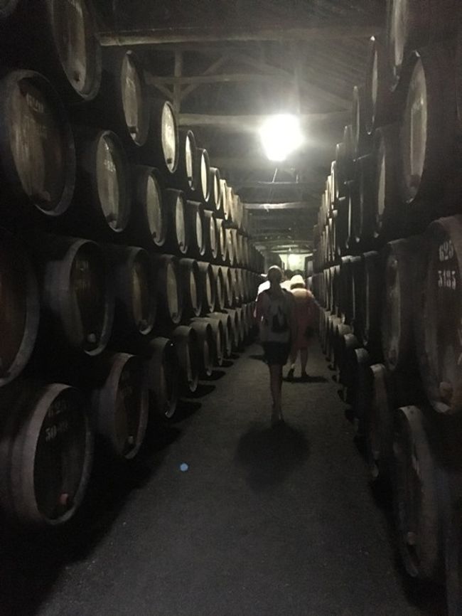 ツアーメンバーは、すべて西洋人。新婚？イチャイチャカップルと中年カップル２組くらいだったかな。そして、日本人の一人旅の私。