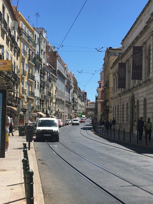 頭上にはトラムの電線。