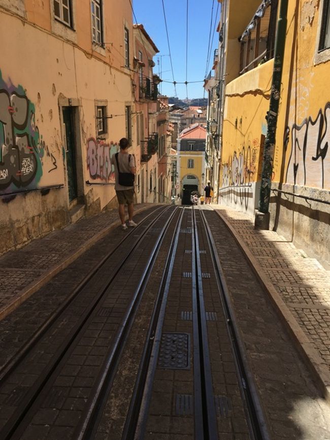 上から。かなりの傾斜ということは分かる。ただ、この線、かなり短い線です。