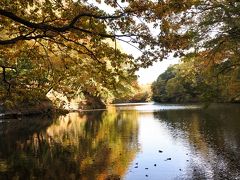 紅葉お散歩　１つめは　震生湖

関東大震災で沢がせき止められて誕生した湖という、不思議な湖。

水のギリギリを歩くことができる珍しい湖。