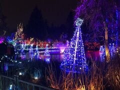 本日のメーンイベント。
ヴァンデュッセン植物園のイルミネーション。