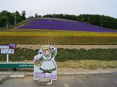 なかふらの町営ラベンダー園
冬場はスキー場になる丘にラベンダーが植えられている。中富良野駅まで、ファーム富田との間で、ラベンダーの時期はバスが運行される。