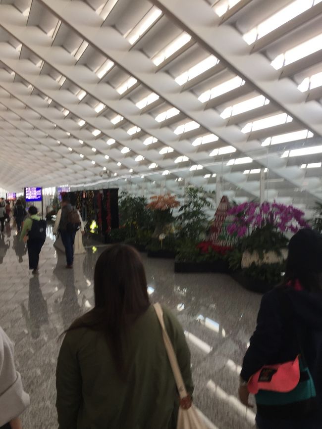 定刻通りに桃園空港へ<br />定番スポットで（笑）<br />入国審査場はやっぱり<br />混んでました。<br />大人8人と3歳児1人で<br />ワゴンタクシー1台で台北のホテルへ<br />1600元取られましたけど…^^;<br />2台で行くよりは安いので<br />一応納得します