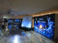 21:30　佐賀県庁展望ホールのアート県庁プロジェクト「星空のすいぞくかん」を鑑賞。