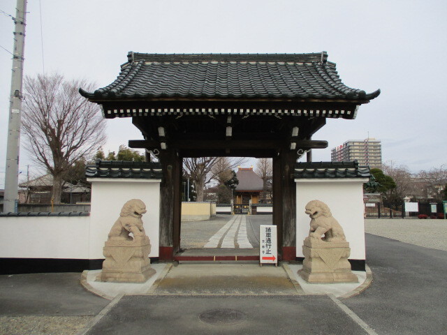 武蔵岩槻 源平合戦で活躍した熊谷直実の後裔で家康の譜代家臣として軍功をあげた高力正長菩提寺の芳林寺散歩