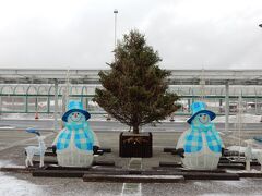 朝7時50分の便で羽田から函館へ。

函館は意外に雪がなかったです。
この時は・・・