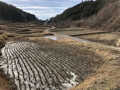 日本の棚田百選にも選ばれた飯田市よこね地区の
よこね田んぼ
佐和屋からほど近い場所にあります。