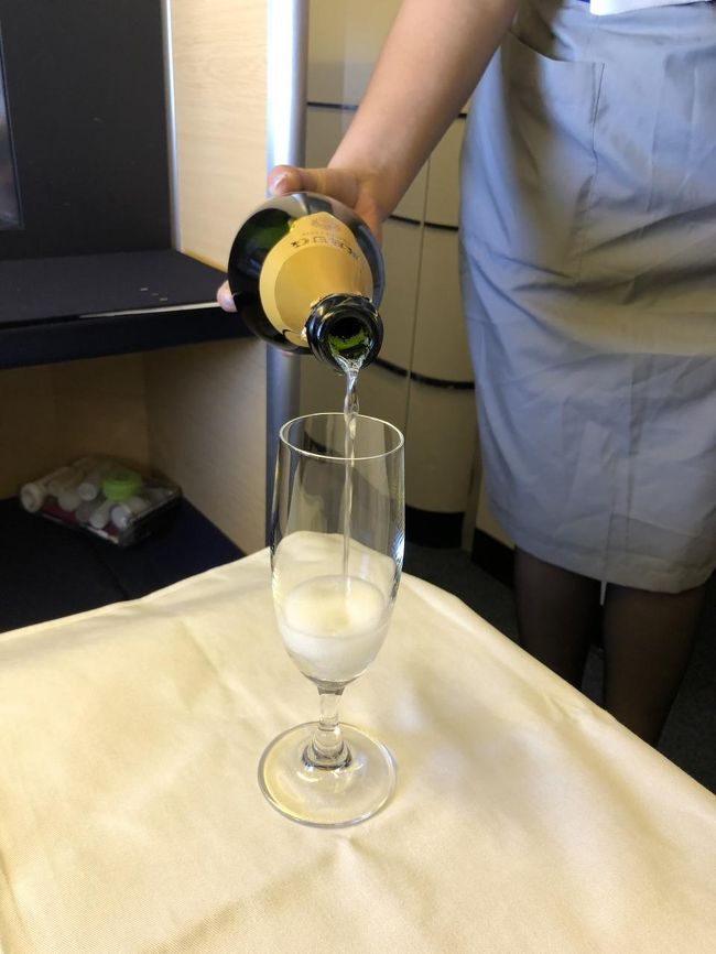 安定飛行後、給仕開始。F客は私を含め3名、ベテランCA2名と贅沢なフライトとなりました。