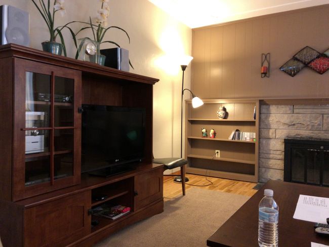 同行者の運転でシカゴからI-94をデトロイト方面へ。途中大雪で大渋滞となり、ORDを9時に出たのですが、仮アパートに着いたのが3時杉。フライトで寝てなかったので、運転者に申し訳無かったのですが途中何度か意識を失いました（汗