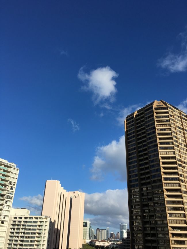 おはようございます‼️<br />７日目の朝です♪<br />今日もいいお天気☀️<br />