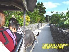 離島ターミナルで牛車観光とセットの渡船券を提供していたので購入し牛車での観光も楽しみました。道の両側の石塀は野積みが普通でドラゴンフルーツがなるサボテン状の葉やバナナの木が生い茂っていました。