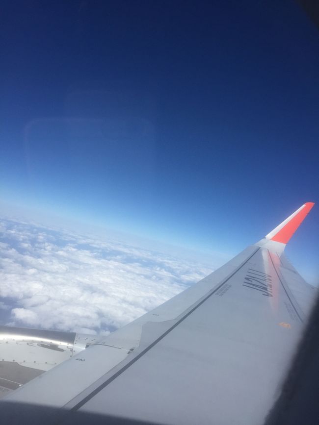 第3ターミナルのフードコートで朝食の予定が狂い、空腹のまま那覇へ。<br />ジェットスターバウチャーのおかげで息子に1500円分飲食させました<br />