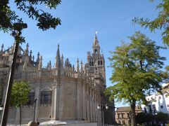 スペインのセビリア大聖堂です。ここで第２の仕事を済ませ、町を観光しました。スペインの勢いが良かった大航海時代に造られた豪勢な建物があります。この大聖堂もその一つです。