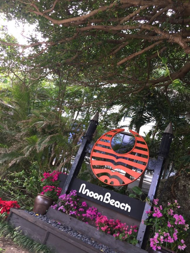 「ホテルムーンビーチ」到着