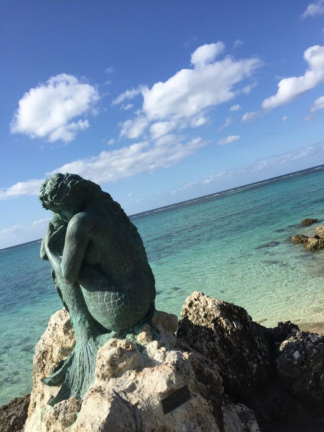 海が澄んでいます