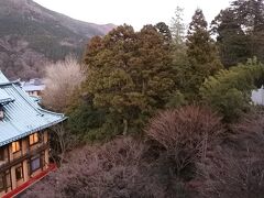 花御殿と熊野神社。右端の屋根はアイリー館。

熊野神社は温泉の神様。
アイリー館は、本館よりも古い明治17年（1884年）竣工。現存する最古の建物。
現在は宿泊施設としては使用されていない。