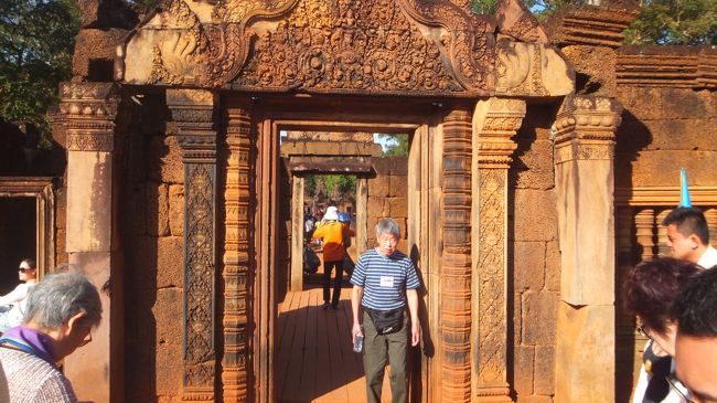 人が写ってますが全体図はこんな感じ。