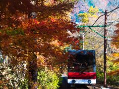 早雲山からは、ケーブルカーに乗り換えて、強羅公園に向かうことになった。紅葉が美しかった。