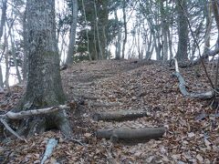 天上山への階段。ここにきてこの登りはきつい。
(この登りの手前に分岐があり、右に行けば天上山に登らずロープウェイへ向かえます。）