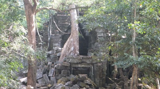 車で1時間ほどかけて郊外のベン・メリアに来ました。<br /><br />ここはアンコール遺跡群パス対象外で別途5ドル取られます。