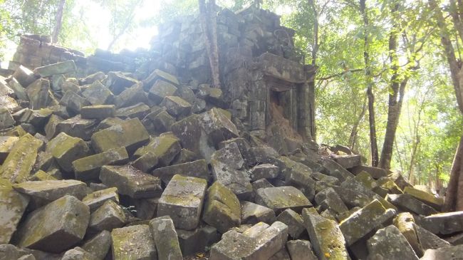 朽ちるのを待ってる説あり