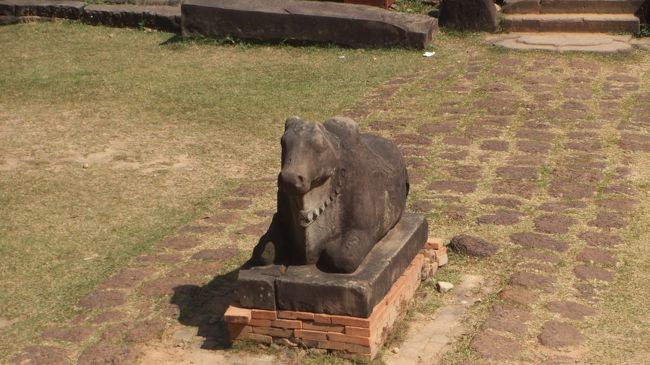 狛犬ならぬ狛牛
