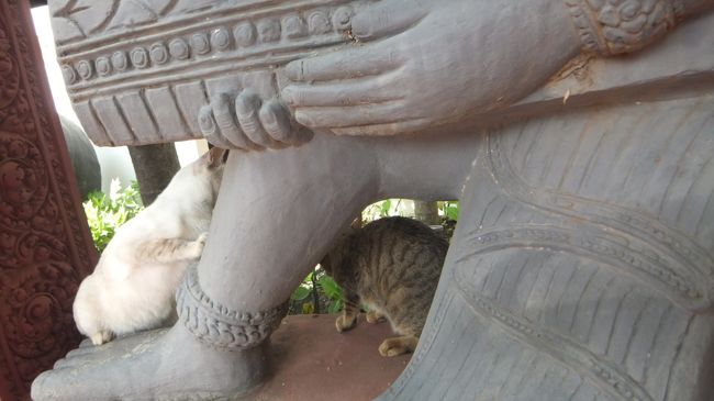 像の間で猫がじゃれ合い中