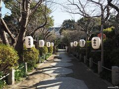 鎌倉　宝戒寺　参道

こちらも、梅や萩のシーズンに、
よくお詣りさせていただいています。