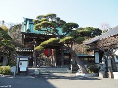 鎌倉　長谷寺　山門

山門前に誰もいません。
なかなかこんなタイミングには遭遇できないのですが、
「なんでだろ～？」