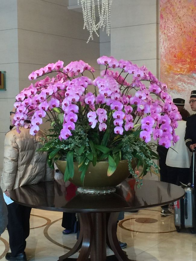 オークラプレステージ台北（大倉久和大飯店）<br />(The Okura Prestige Taipei)<br />のロビーの胡蝶蘭（笑）<br />さすがは高級ホテルです！