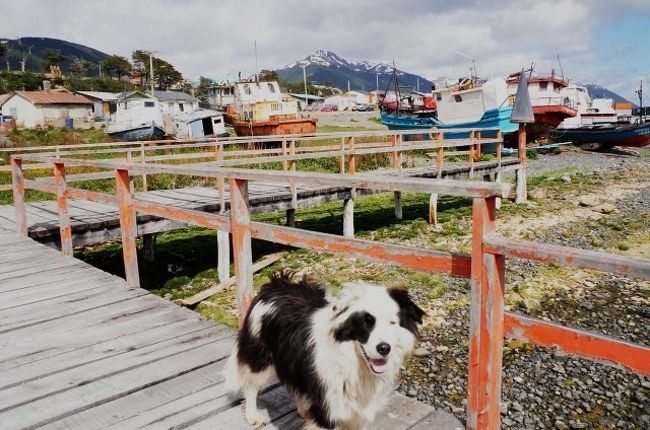 貨物船に乗り世界最南端の村プエルトウィリアムズへ Venturing Into The Southernmost Town Puerto Williams プンタ アレーナス チリ の旅行記 ブログ By ノーーウォリーズさん フォートラベル 貨物船に乗り世界最南端の村プエルトウィリアムズへ Venturing Into The Southernmost Town Puerto Williams プンタ アレーナス チリ の旅行記 ブログ By ノーーウォリーズさん フォートラベル