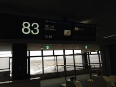 当日は東京はすごい雪で、飛行機飛ぶかな～と危ぶまれましたが、なんとか飛び立ち、10時間近く飛んだあと、コロンボのバンダラナイケ国際空港に到着しました。