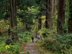 これが２４４６段の石段からなる表参道