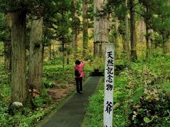 樹齢1000年といわれる爺杉