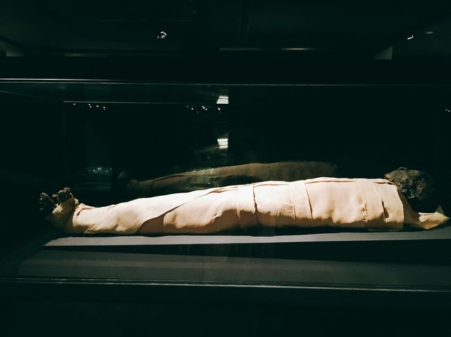 Luxor Museum(Luxor⑦)ルクソール博物館(2017年12月24日ルクソール⑦)