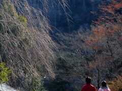 嵐山公園は亀山「亀の形をした山」にあり、川沿いに入り口があります。