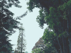 ストリートフードツアー解散後、SIMカードをVIETTELで買い、目的の博物館までどのくらいあるか調べると、それほど遠くないので歩いて行くことに。