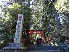 そして、箱根神社に到着。
最近は関東屈指のパワースポットと言われている箱根神社。
「開運」「金運」「出世運」などにご利益のある、強力パワースポットらしいですよ（笑）
ぴくしーはパワースポット大好きです♪